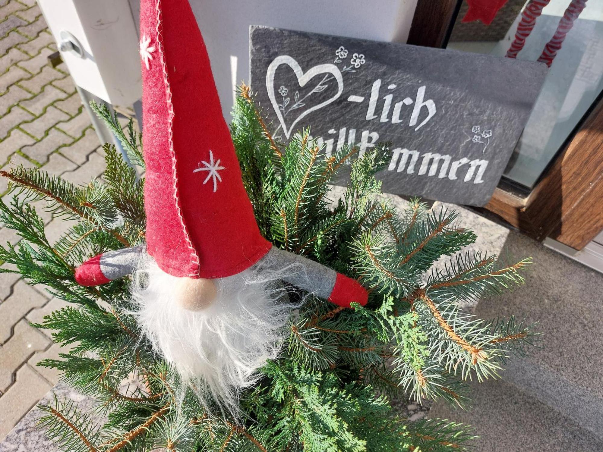 Durrhennersdorf Haus Am Seidelbergヴィラ エクステリア 写真